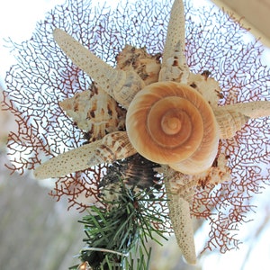 Sea Shell Christmas Tree Topper- Brown Tree Topper- Starfish Tree ...