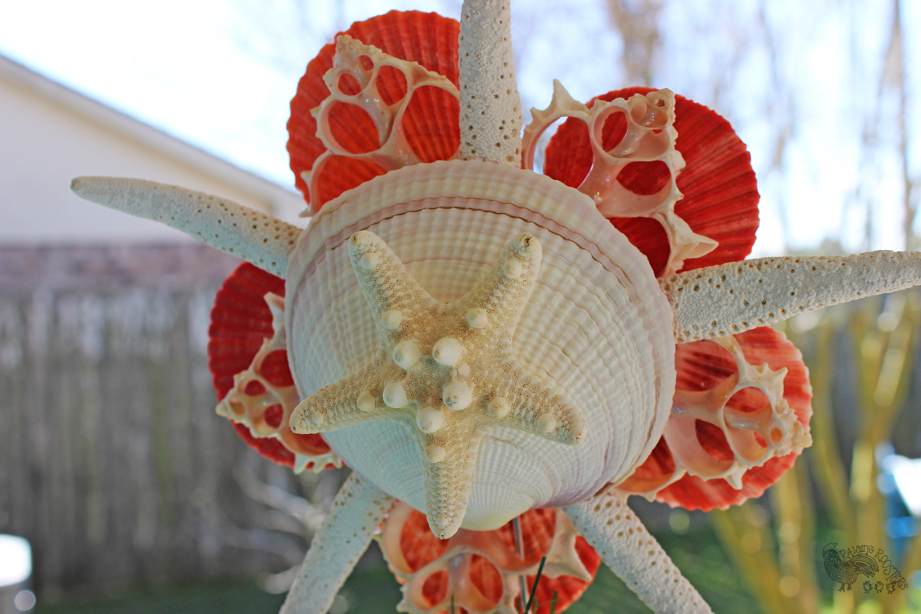 Seashell Christmas Tree Topper Starfish Tree Topper Red Tree - Etsy