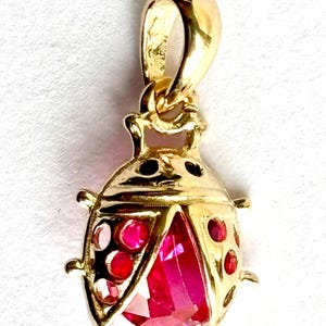 Könnte beinhalten: Goldener Marienkäfer-Anhänger mit roten Edelstein-Akzenten. Der Marienkäfer hat ein detailliertes Design und eine Schlaufe zum Anbringen an einer Kette.