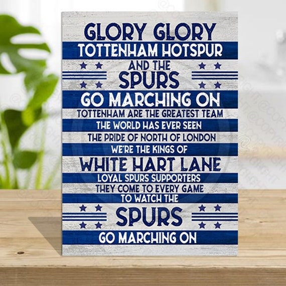  Tottenham Hotspur FC Official Gift Boys Retro Track