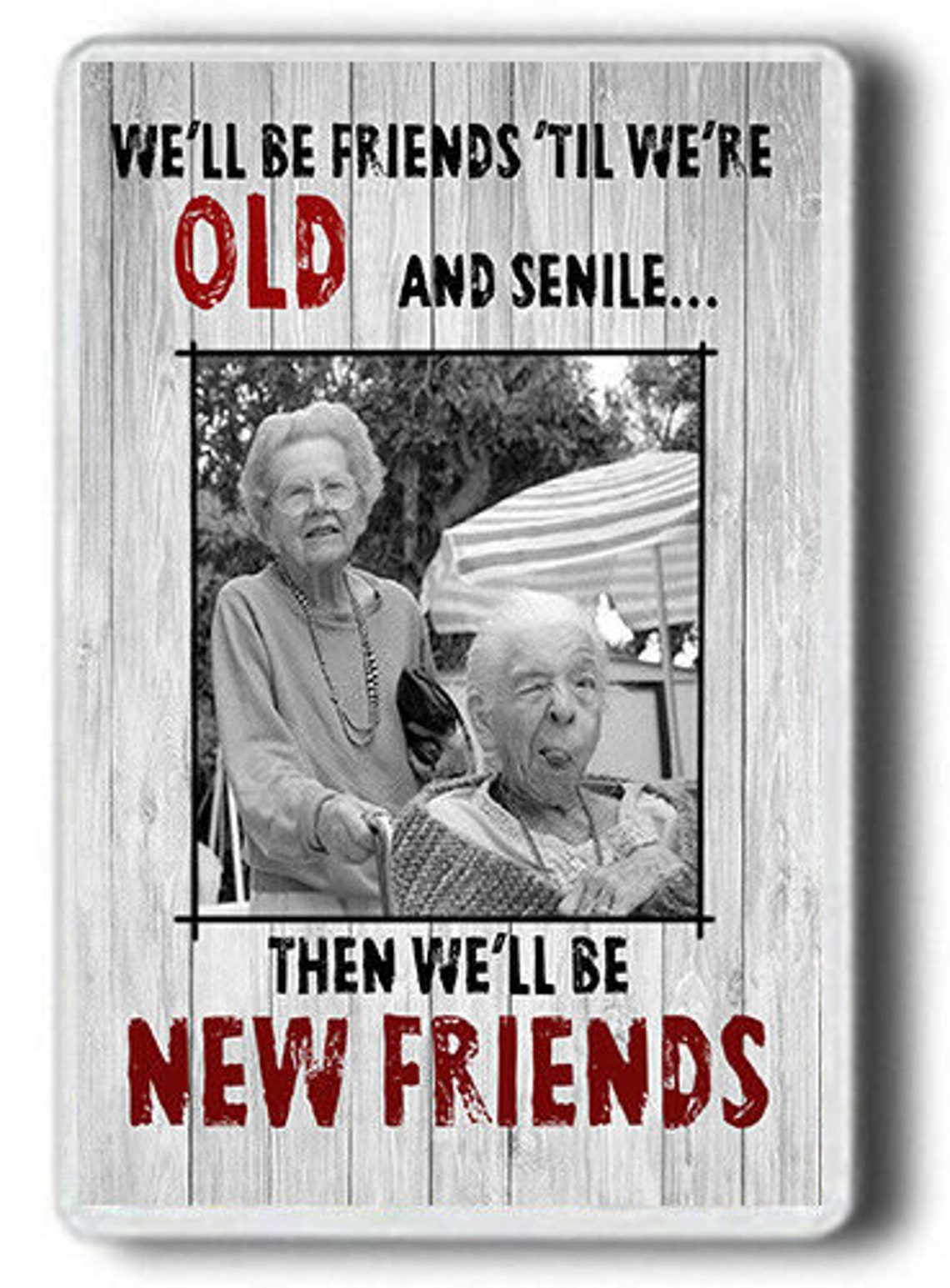 Buy Funny Novelty Fridge Best Friend Novelty Fridge Online in India Etsy