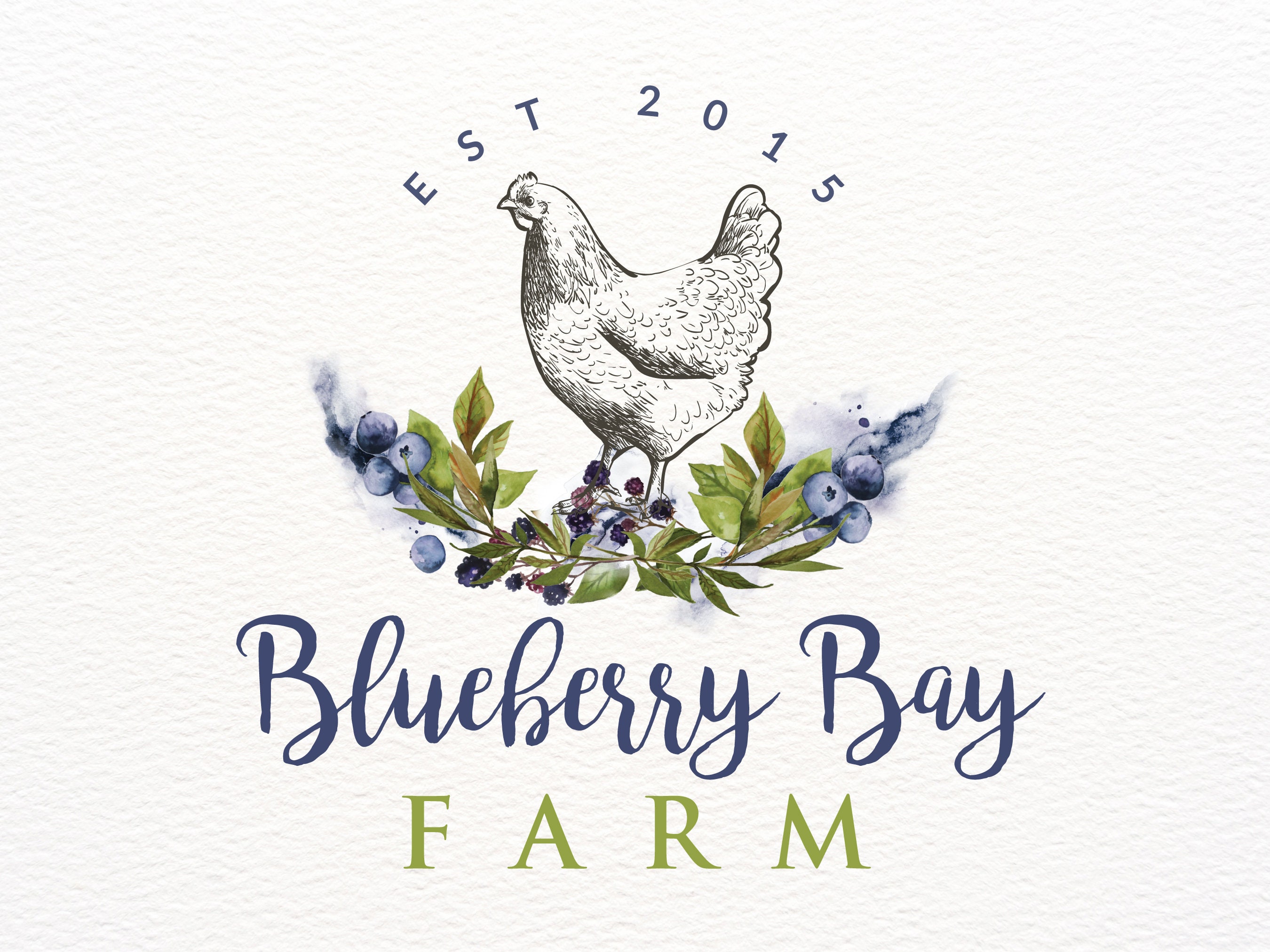 Chicken Farm Logo Design Branding Kit Blueberry Vintage Frame Fruit Logo Rustic Hen Digital Logo Premade Rooster Logo Business Card Design