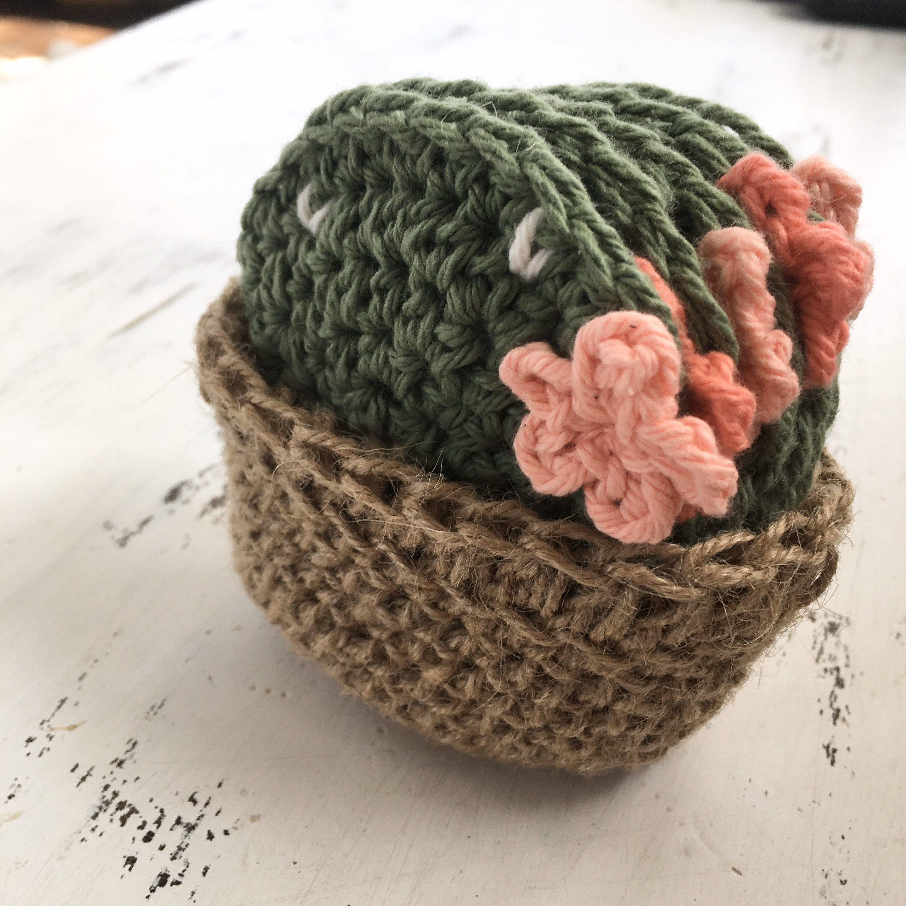 CACTUS COASTER SET crocheted 100 cotton succulent coasters Etsy
