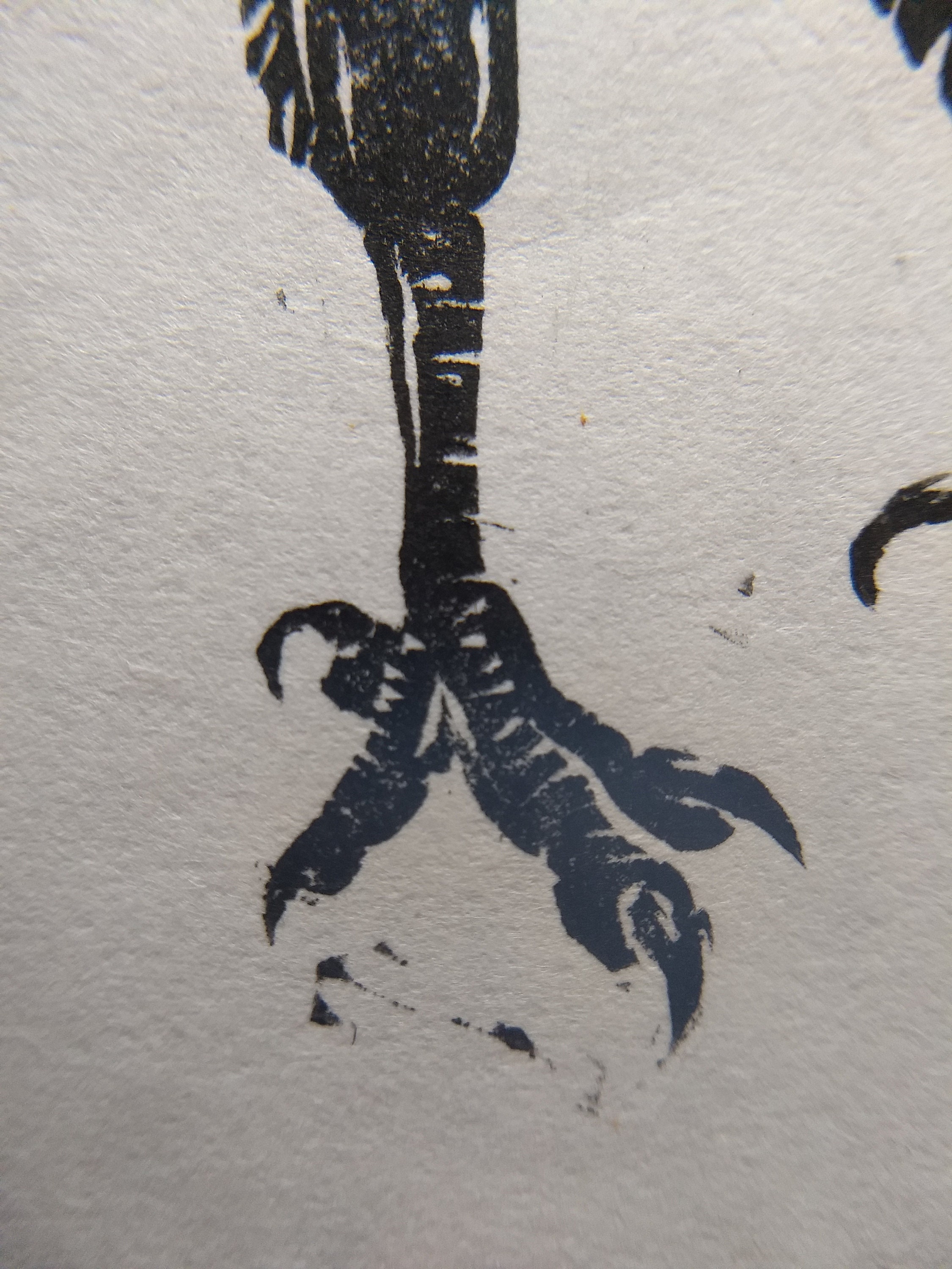 Raven. Original Hand Burnished Linocut Print. Etsy