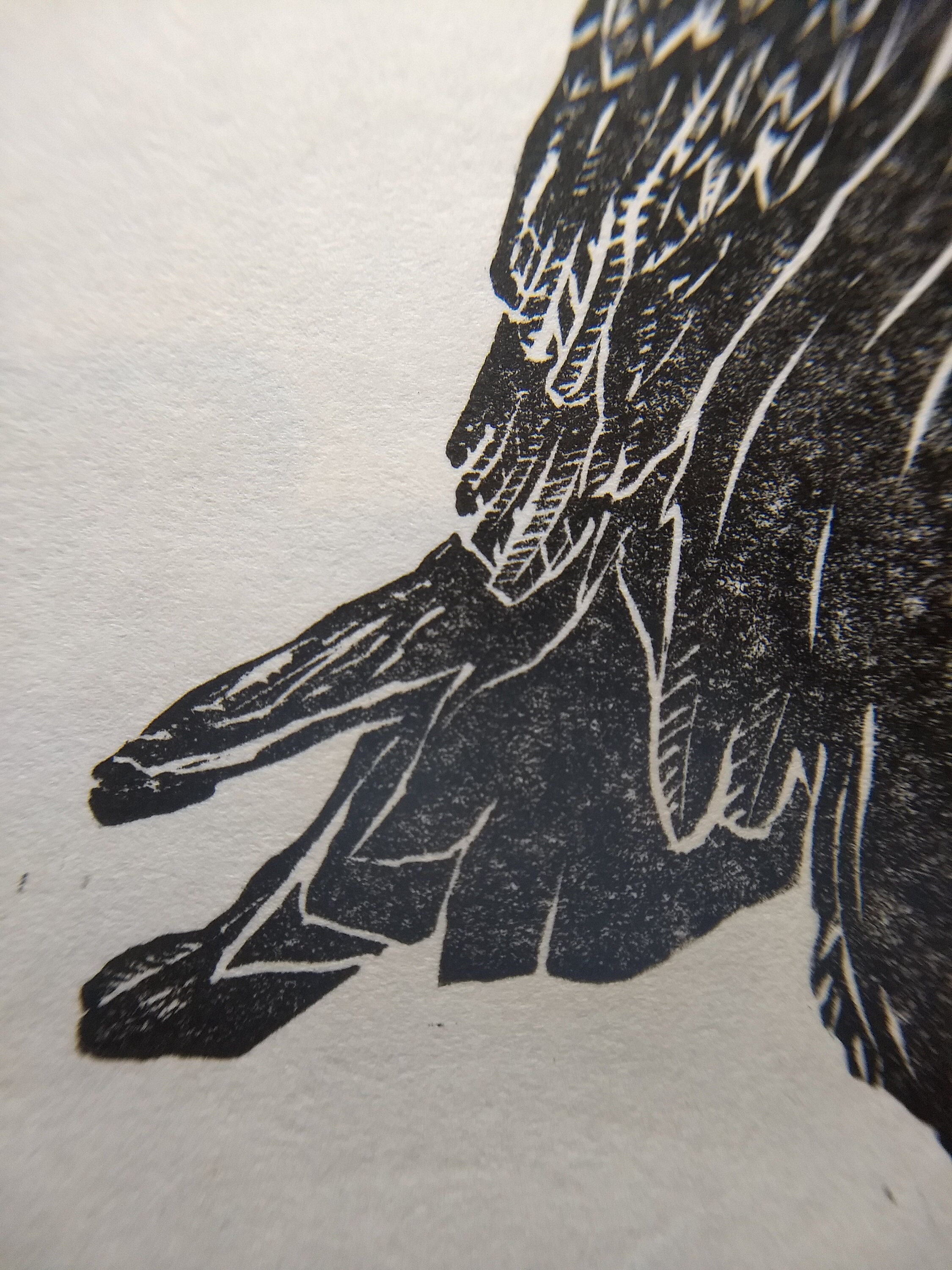 Raven. Original, Hand Burnished Linocut Print. Etsy UK