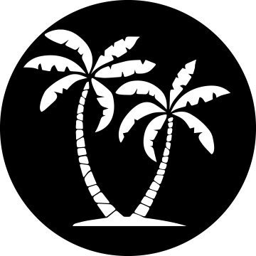 Palm tree Spare Tire Covers