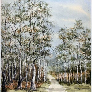 May include: A watercolor painting of a path through a birch forest. The trees are mostly white with some green leaves. The path is light brown and leads into the distance.