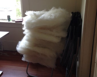 1/2 pound Romney Dorset hand carded white batt