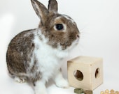 Artículos de esta tienda