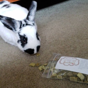 May include: A black and white rabbit with a pink nose is eating a small bag of green and brown "Paw-W Cookies" treats. The rabbit is lying on a light brown carpet.