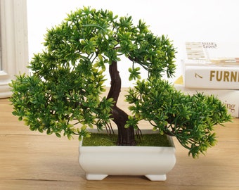 bonsai tree etsy
