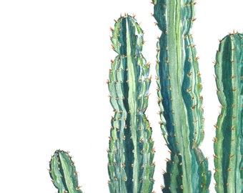 Cactus watercolor art print, cactus wall art, cactus decor, desert decor, modern artwork, cacti art, nursery decor, cactus drawing