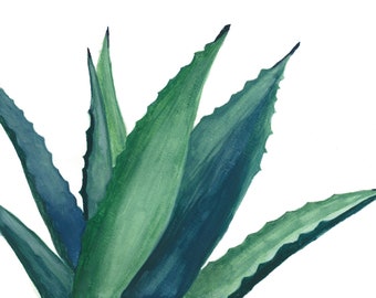 Akvarellkonsttryck med blå agave, agavekonstverk, agavedekor, akvarellkonsttryck, ökendekor, suckulenter, modern väggkonst, grön agave