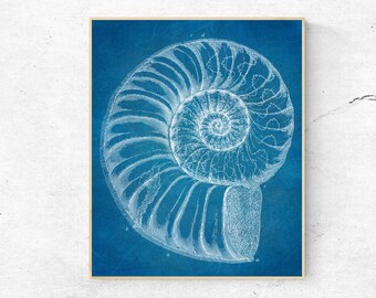 INSTANT DOWNLOAD - Nautilus Seashell Blueprint, Nautical Art, Shell Decor Wall Art, Digital Download, Nautical Decor, Printable Art, Vintage