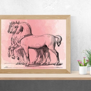 INSTANT DOWNLOAD - Horses of San Marco, Horse Decor, Horse Riding Decor, Animals, Digital Download, Animal Printable Art, Animal Decor