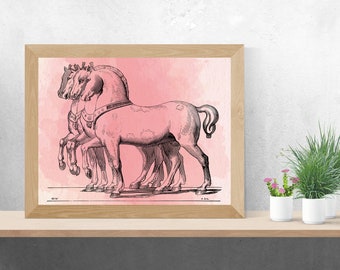 INSTANT DOWNLOAD - Horses of San Marco, Horse Decor, Horse Riding Decor, Animals, Digital Download, Animal Printable Art, Animal Decor