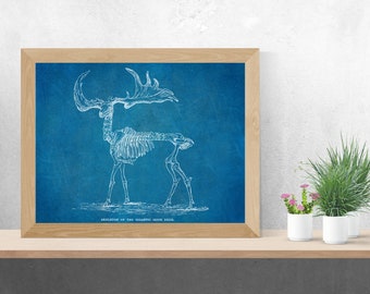 INSTANT DOWNLOAD - Gigantic Irish Deer Skeleton Blueprint, Deer Decor, Hunter Decor, Digital Download, Animal Printable Art, Animal Decor