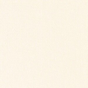 Könnte beinhalten: Ein schlichter weißer Hintergrund mit einer dezenten Textur.