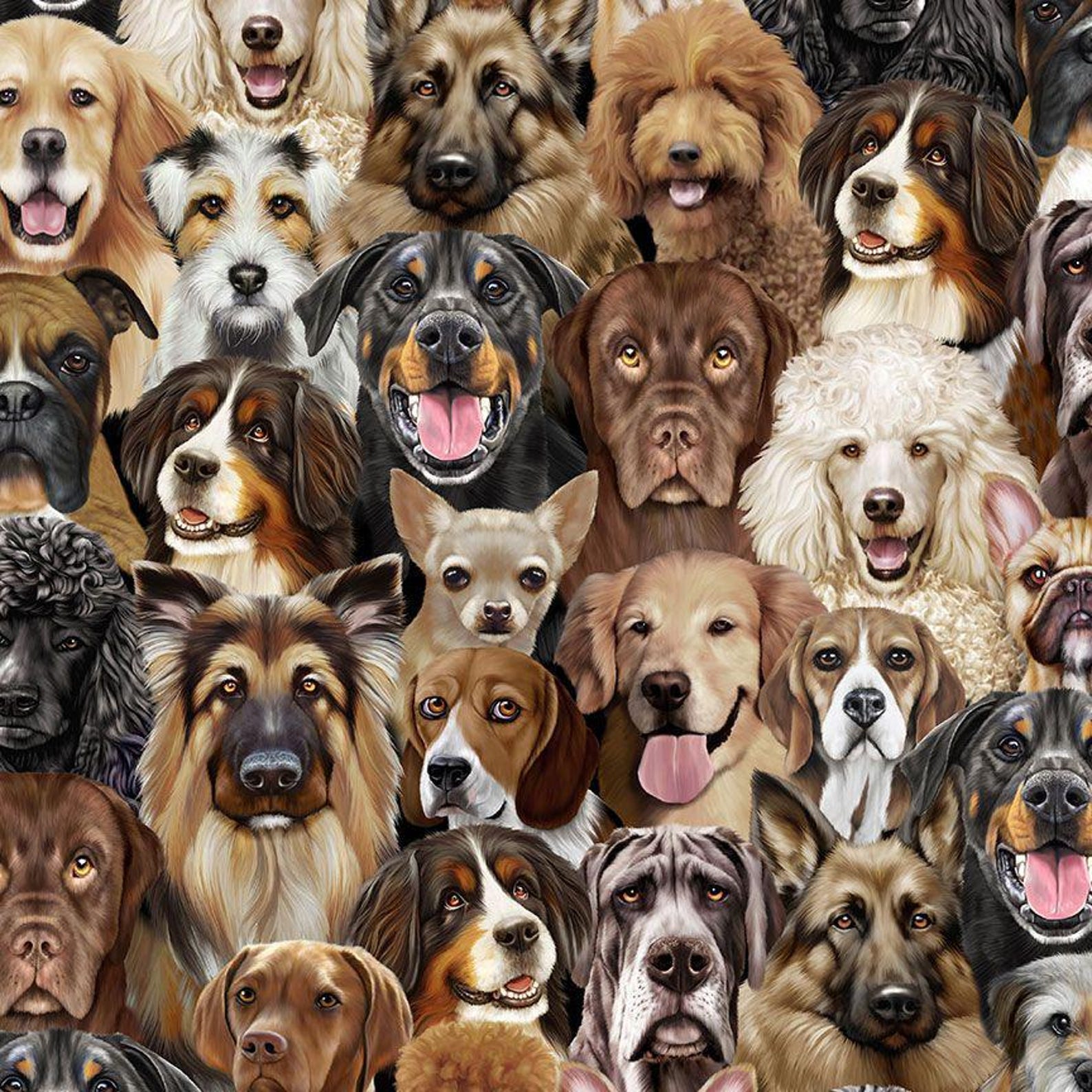 Timeless Treasures Fabric Dogs Rule Collection, Packed Dogs Portrait ...