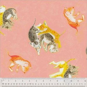 Anthology Fabric Heather Ross by Hand Collection, Barn Kittens (Salmon) (54251D-3)