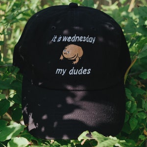 It’s Wednesday My Dudes  Meme Embroidered Hat