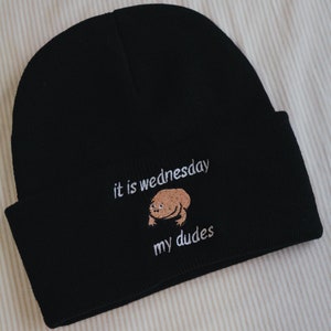 It Is Wednesday My Dudes, Frog Funny Meme Embroidered Beanie