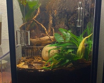 bioactive reptile supplies