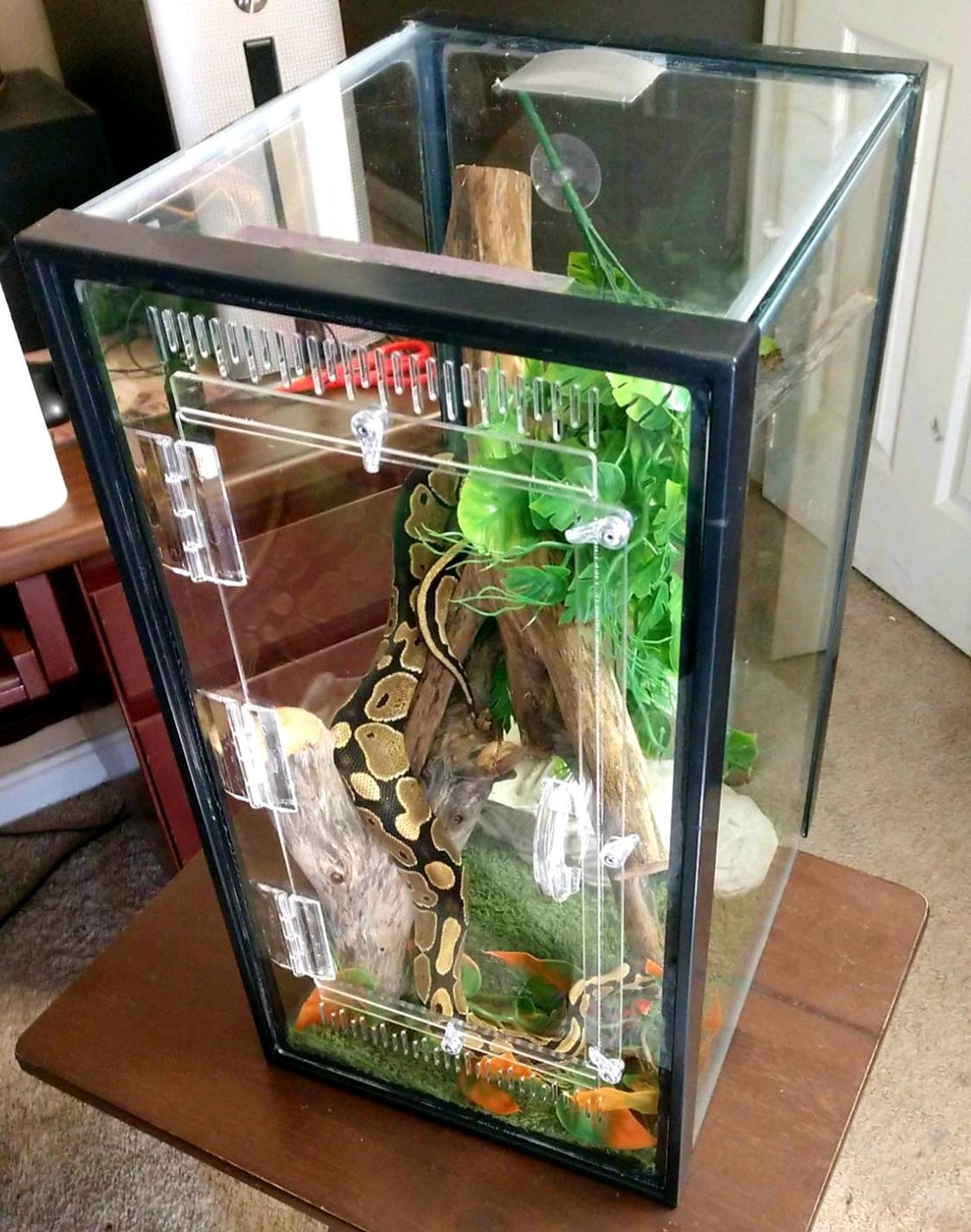 Arboreal 10gal Aquarium Conversion Kit Reptile Cage Reptile Etsy UK