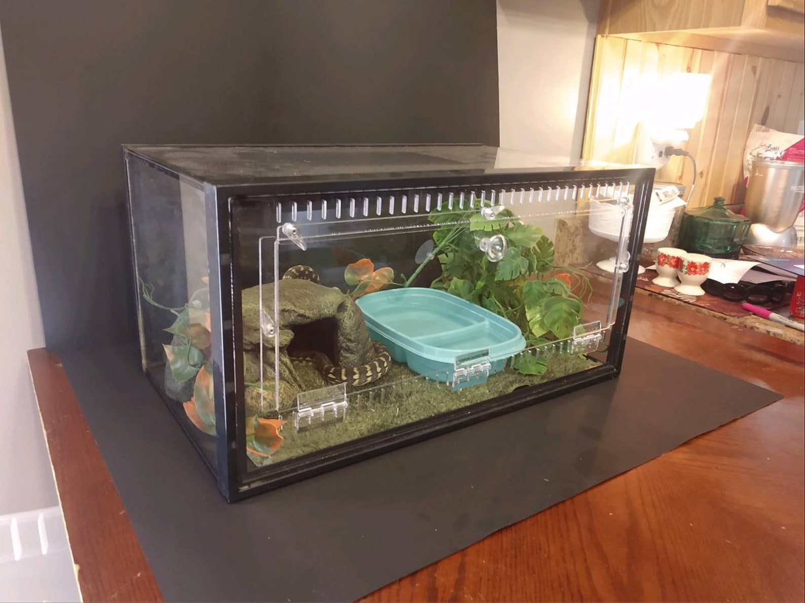 Terrestrial 10gal Aquarium Conversion Kit reptile cage Etsy