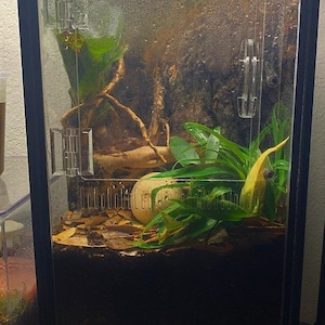 vivarium accessories for sale
