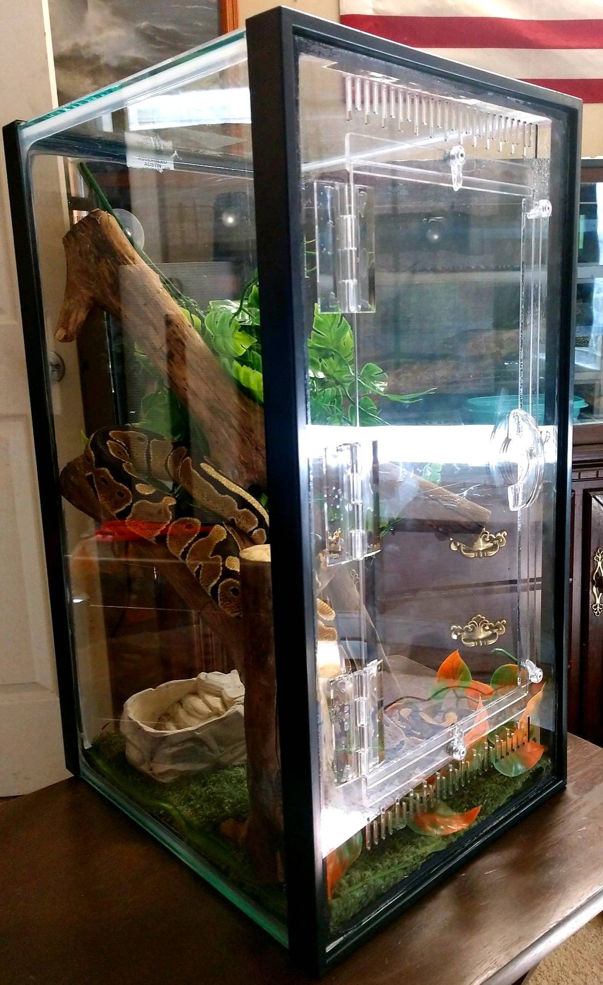 Arboreal 10gal Aquarium Conversion Kit reptile cage reptile Etsy