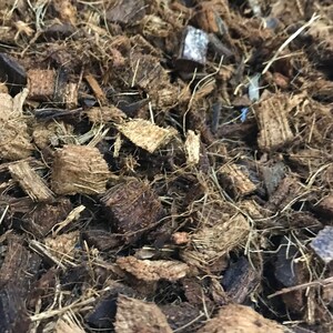 dog waste bags walmart