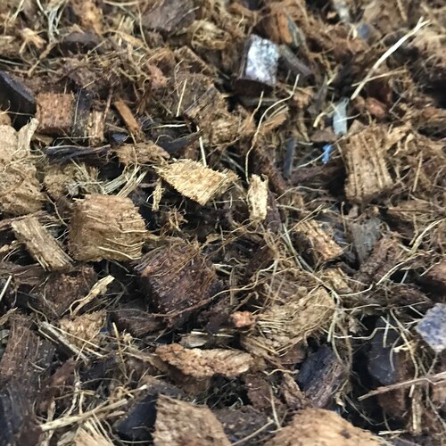 coconut soil bedding
