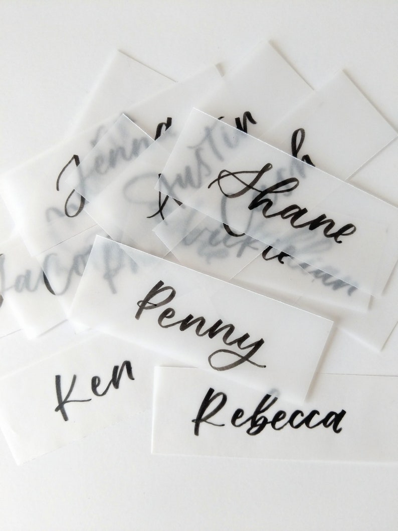 Vellum Place Cards Frosted Paper Place Cards Calligraphy Etsy