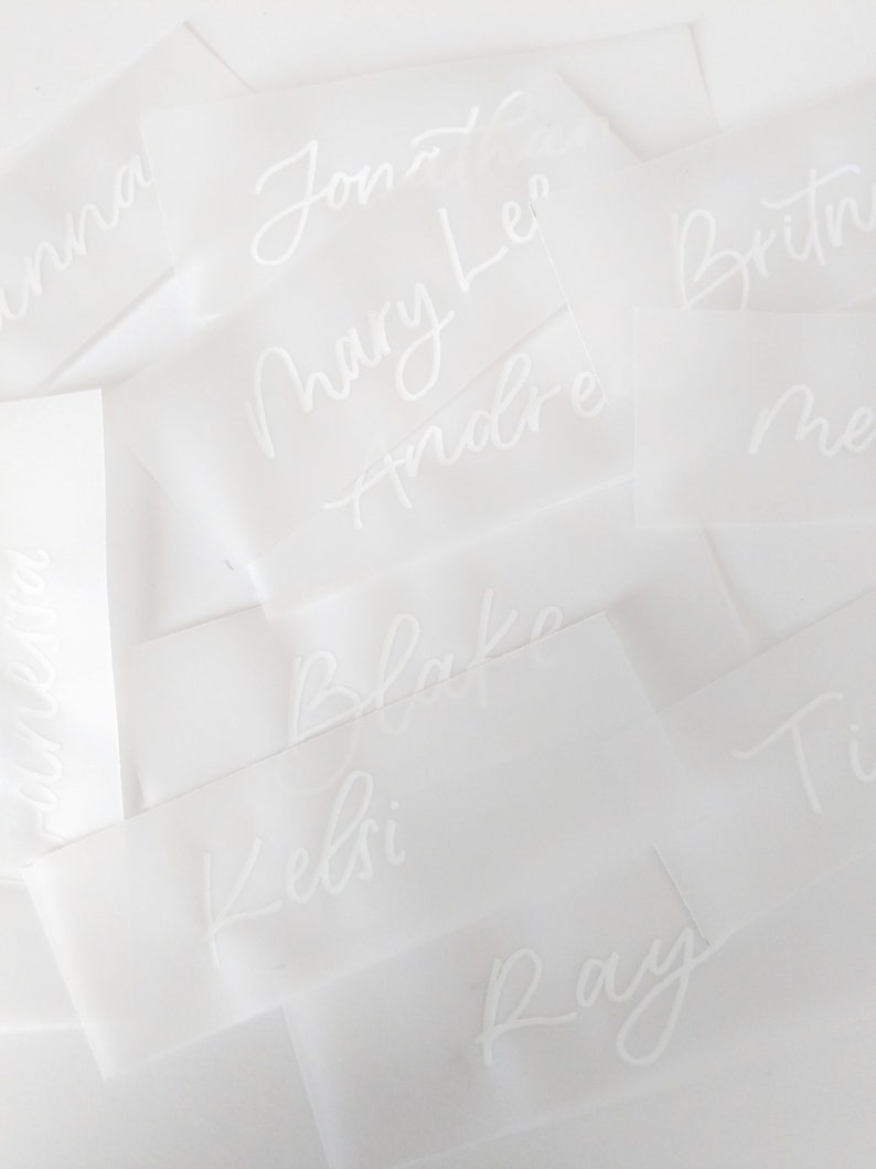 Vellum Place Cards Frosted Paper Place Cards Calligraphy Etsy