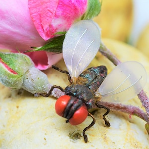 Fly Brooch | Fly Pin | Handmade Brooch | Polymer clay Jewelry | Insect brooch | Gifts for friends | Fly gifts | Men&#39;s Brooch | Gifts for him