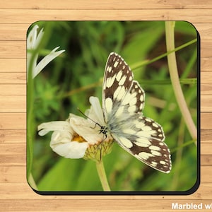 British butterfly photo coasters image 3