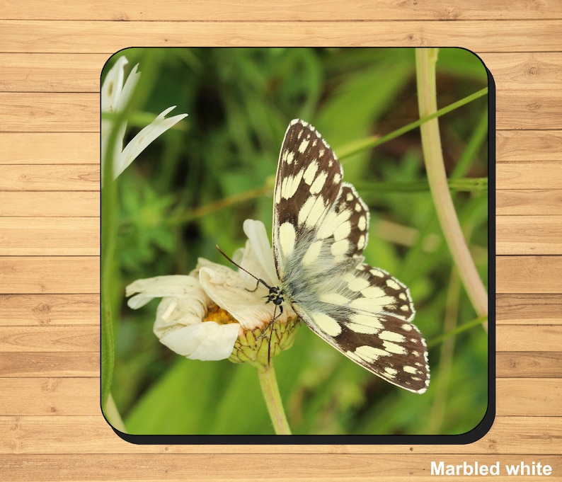 British butterfly photo coasters image 3