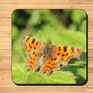 British butterfly photo coasters image 2
