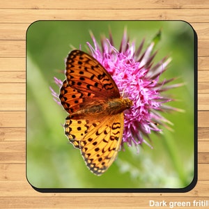 British butterfly photo coasters image 4