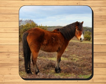 New Forest pony photo coasters