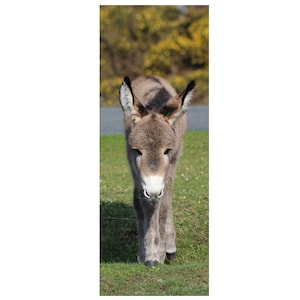 Donkey photo bookmark