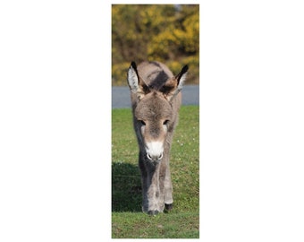 Donkey photo bookmark