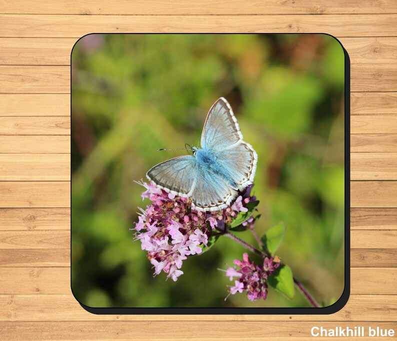 British butterfly photo coasters image 7