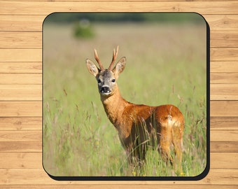 Roe deer buck photo coasters