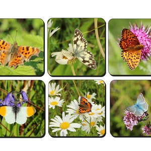 British butterfly photo coasters image 1