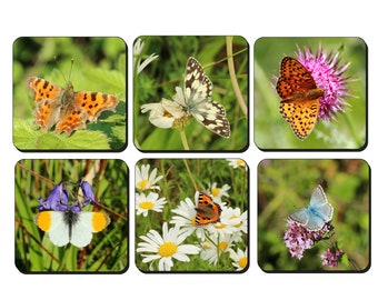 British butterfly photo coasters