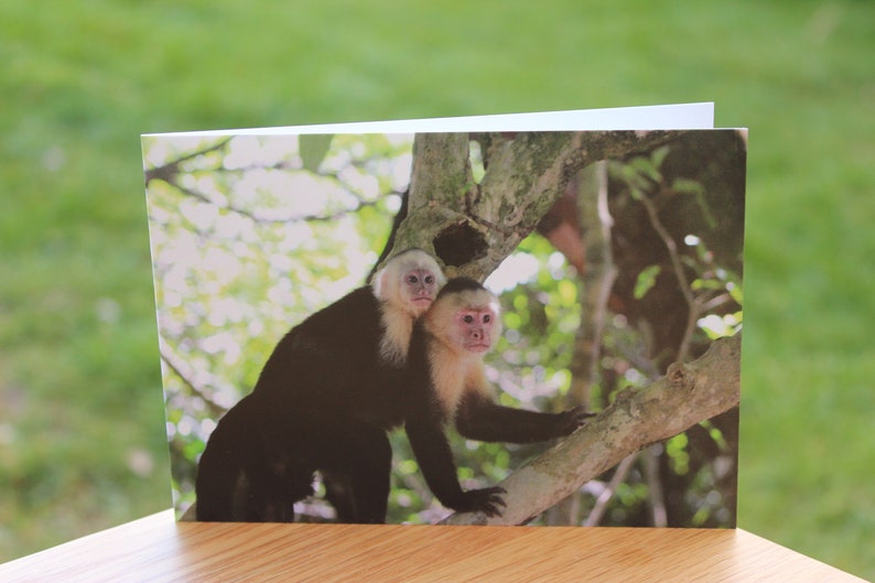 Animal greeting cards mix and match, featuring original wildlife photography image 8