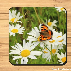 British butterfly photo coasters image 6