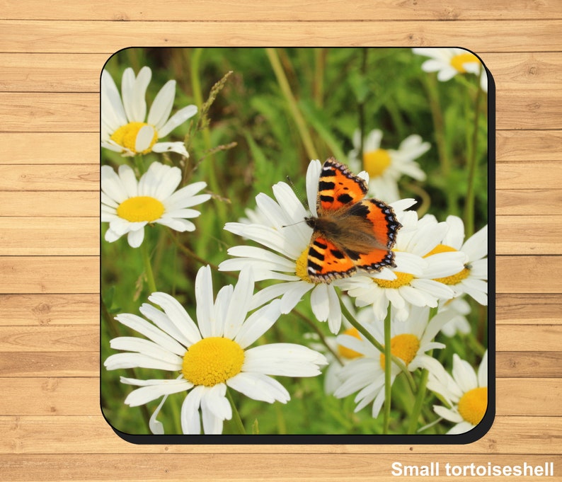 British butterfly photo coasters image 6